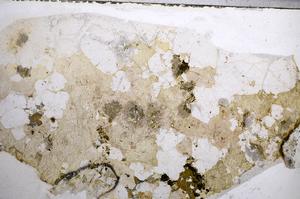 Plane Polarized, E57803