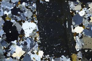 Cross Polarized, E57991