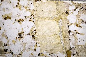 Plane Polarized, E57991