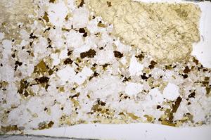 Plane Polarized, E57992