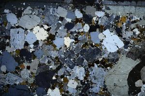 Cross Polarized, E57993