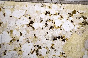 Plane Polarized, E57993