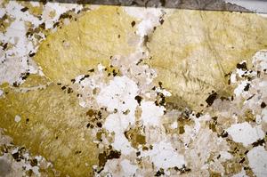 Plane Polarized, E57994/B