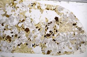 Plane Polarized, E57997