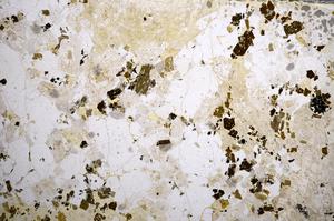 Plane Polarized, E58000/A