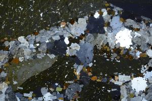 Cross Polarized, E58000/B