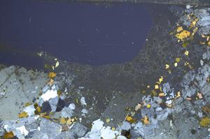 Cross Polarized, E58001