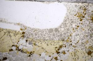 Plane Polarized, E58001