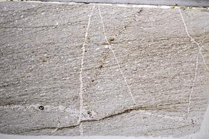 Plane Polarized, E58050