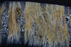 Cross Polarized, E58055