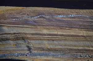 Cross Polarized, E58062