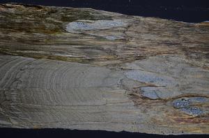 Cross Polarized, E58063