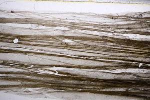 Plane Polarized, E58067