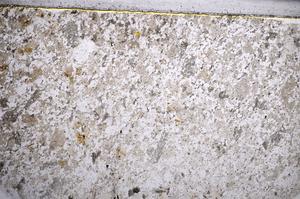 Plane Polarized, E58080