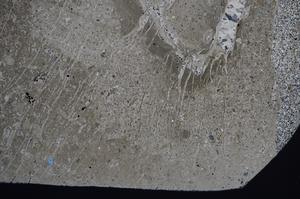 Cross Polarized, E58124