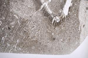 Plane Polarized, E58124