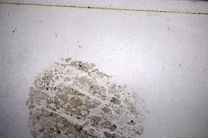 Plane Polarized, E58189