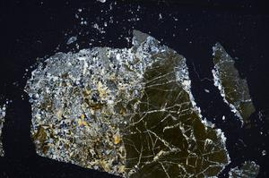 Cross Polarized, E58191