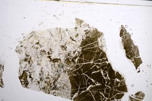 Plane Polarized, E58191