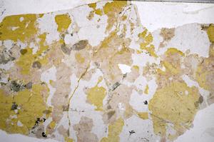 Plane Polarized, E58274/A