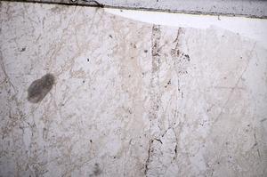 Plane Polarized, E58312/B