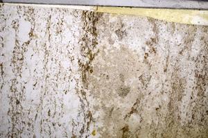 Plane Polarized, E58314