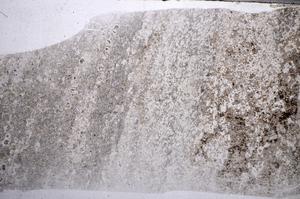 Plane Polarized, E58402