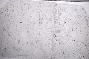 Plane Polarized, E58480