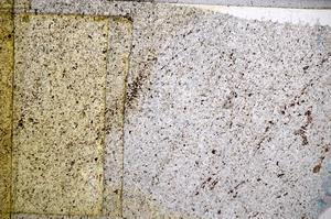 Plane Polarized, E58487