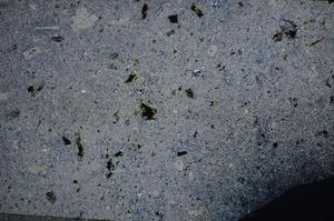 Cross Polarized, E58490