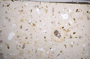 Plane Polarized, E58498