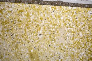 Plane Polarized, E58503