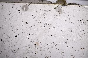 Plane Polarized, E58515