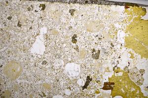 Plane Polarized, E58571