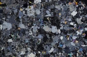 Cross Polarized, E58576/A