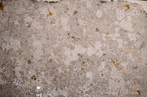 Plane Polarized, E58576/A