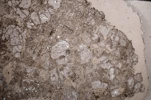 Plane Polarized, E58577/A