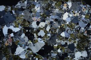 Cross Polarized, E58577/B