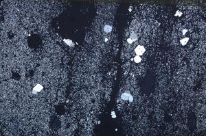 Cross Polarized, E58578