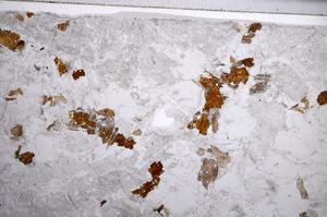 Plane Polarized, E58586