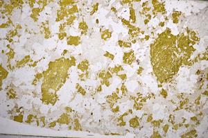 Plane Polarized, E58587