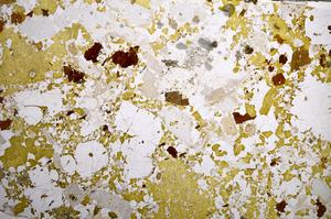 Plane Polarized, E58589