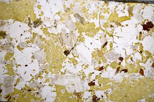 Plane Polarized, E58591