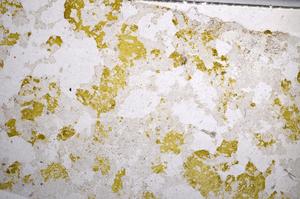 Plane Polarized, E58593