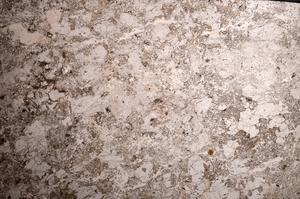 Plane Polarized, E58604