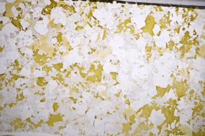 Plane Polarized, E58608