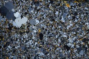 Cross Polarized, E58611