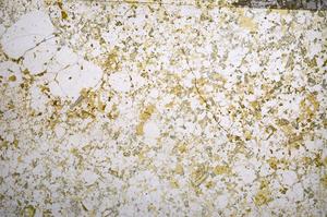 Plane Polarized, E58611