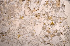 Plane Polarized, E58612