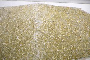 Plane Polarized, E58618